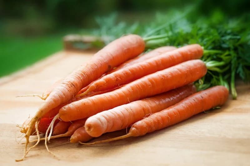 🥕 Raíces y tubérculos